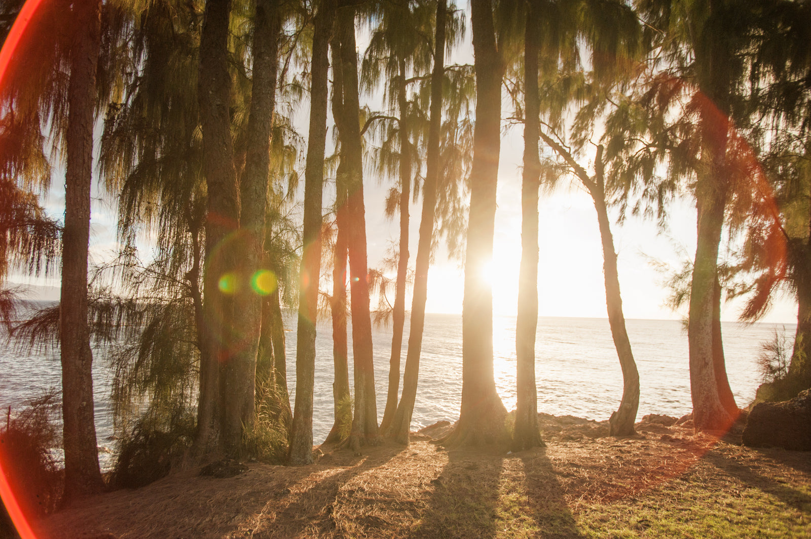 Creating Your Roadmap to Better Overall Health and Living