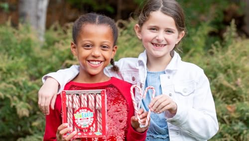 YumEarth Organic Candy Canes - Individually Wrapped Full Size