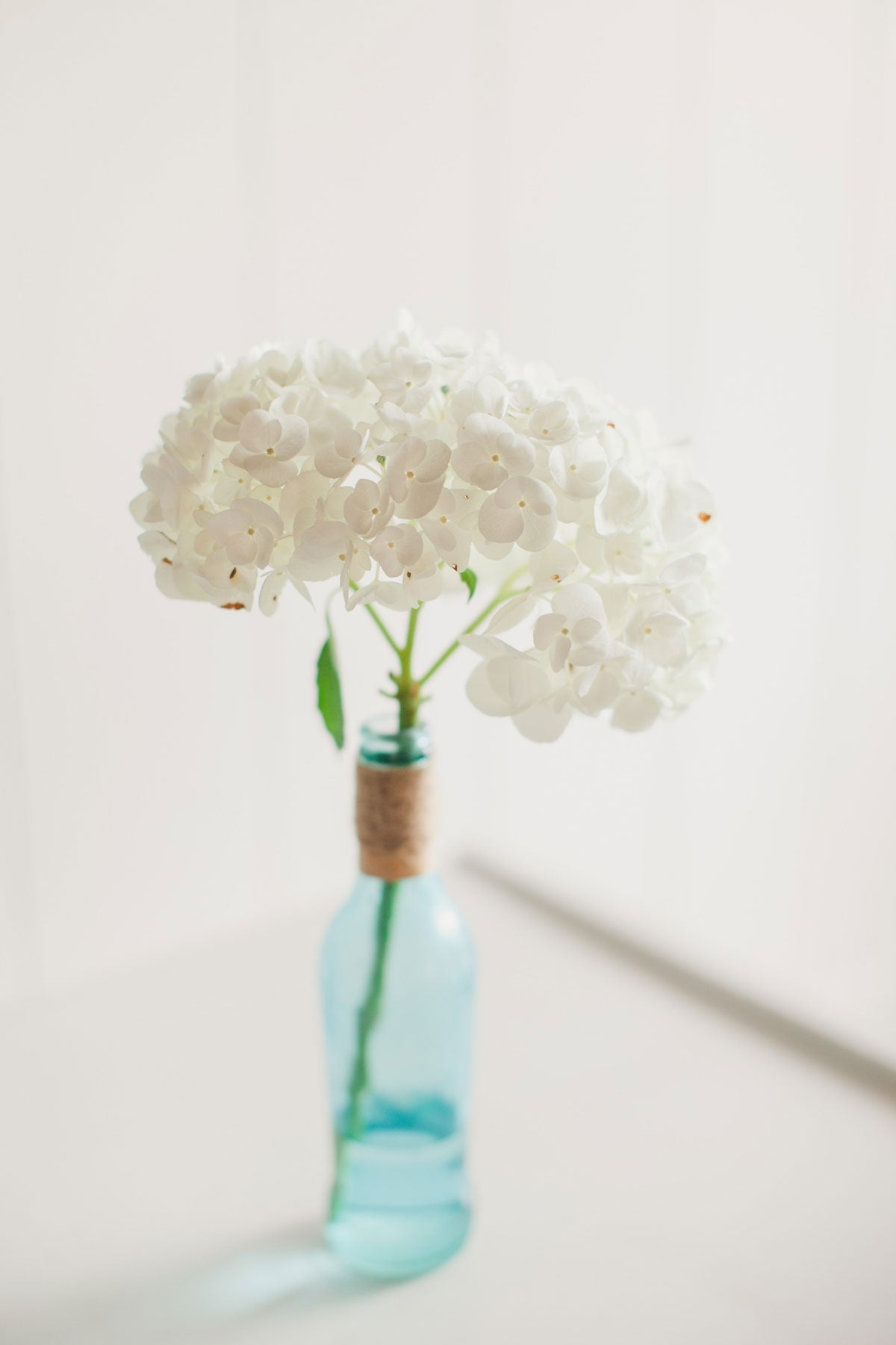 Self Care Favorites