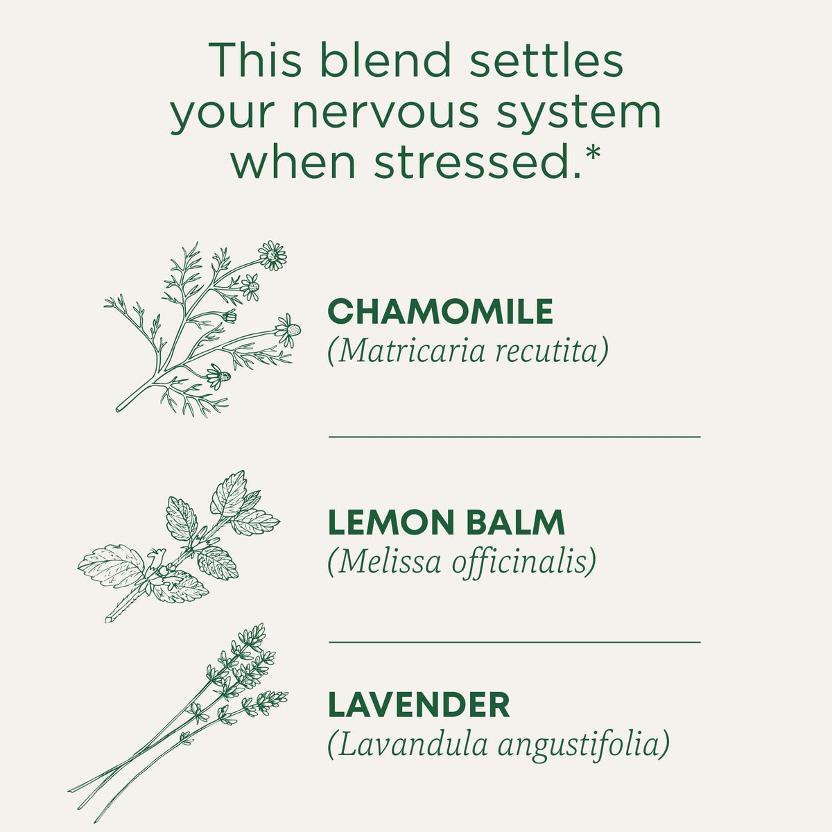 Traditional Medicinals Tea, Organic Chamomile &amp; Lavender, Stress Relief, 16 Tea Bags