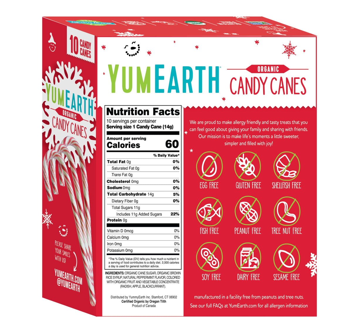 YumEarth Organic Candy Canes - Individually Wrapped Full Size Peppermint Candy Canes - Allergy Friendly, Non GMO, Gluten Free, Vegan - 10 Count (Pack of 1)