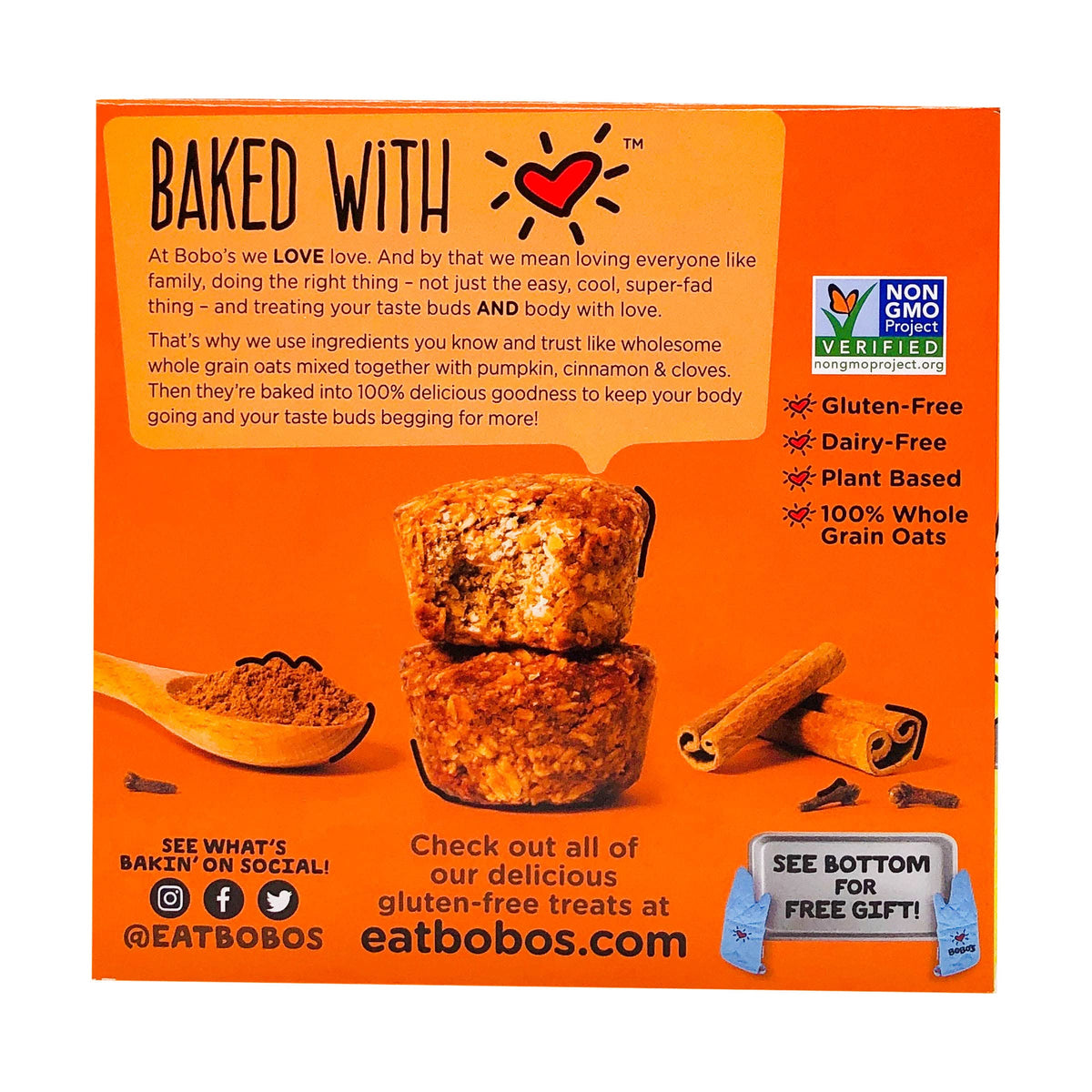 Bobo's Oat Bars, Pumpkin Spice Oat Bites, 13 Ounce