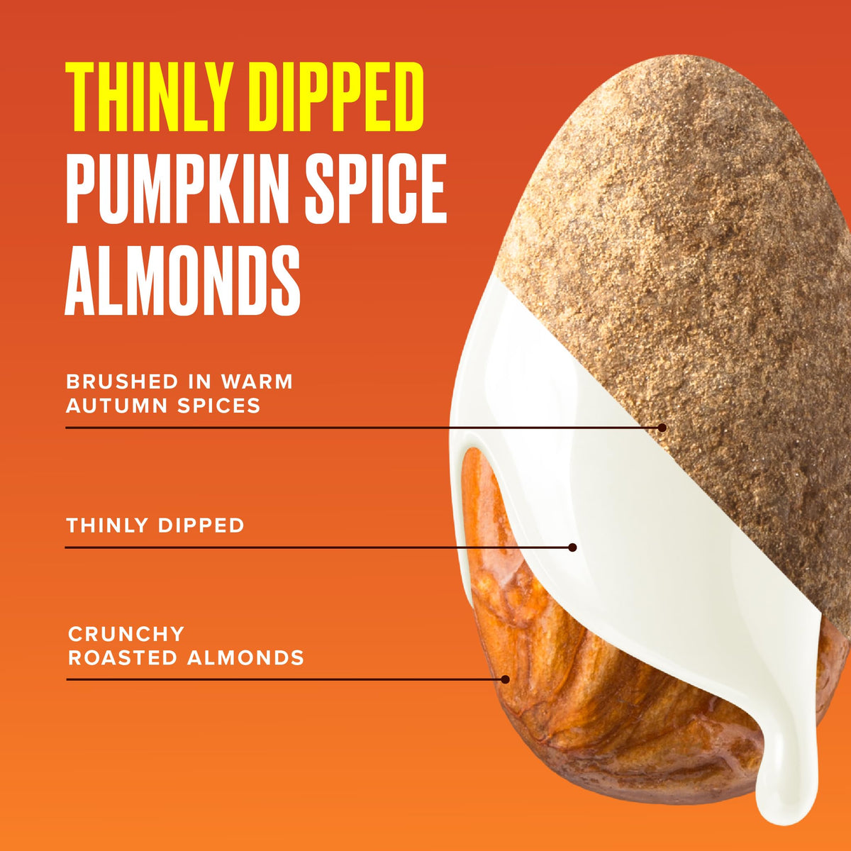 SkinnyDipped Pumpkin Spice Almonds, 3.5oz Bags | 5 Pack