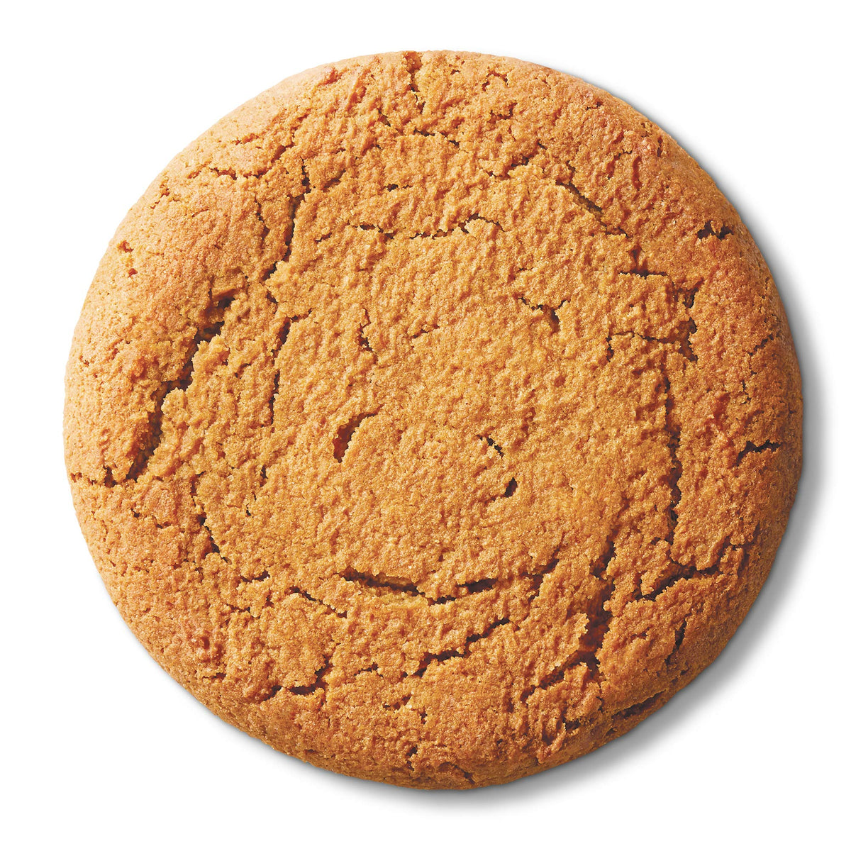 Lenny & Larry's Protein Cookie Pumpkin Spice, 16g Plant Protein, 12 Pack